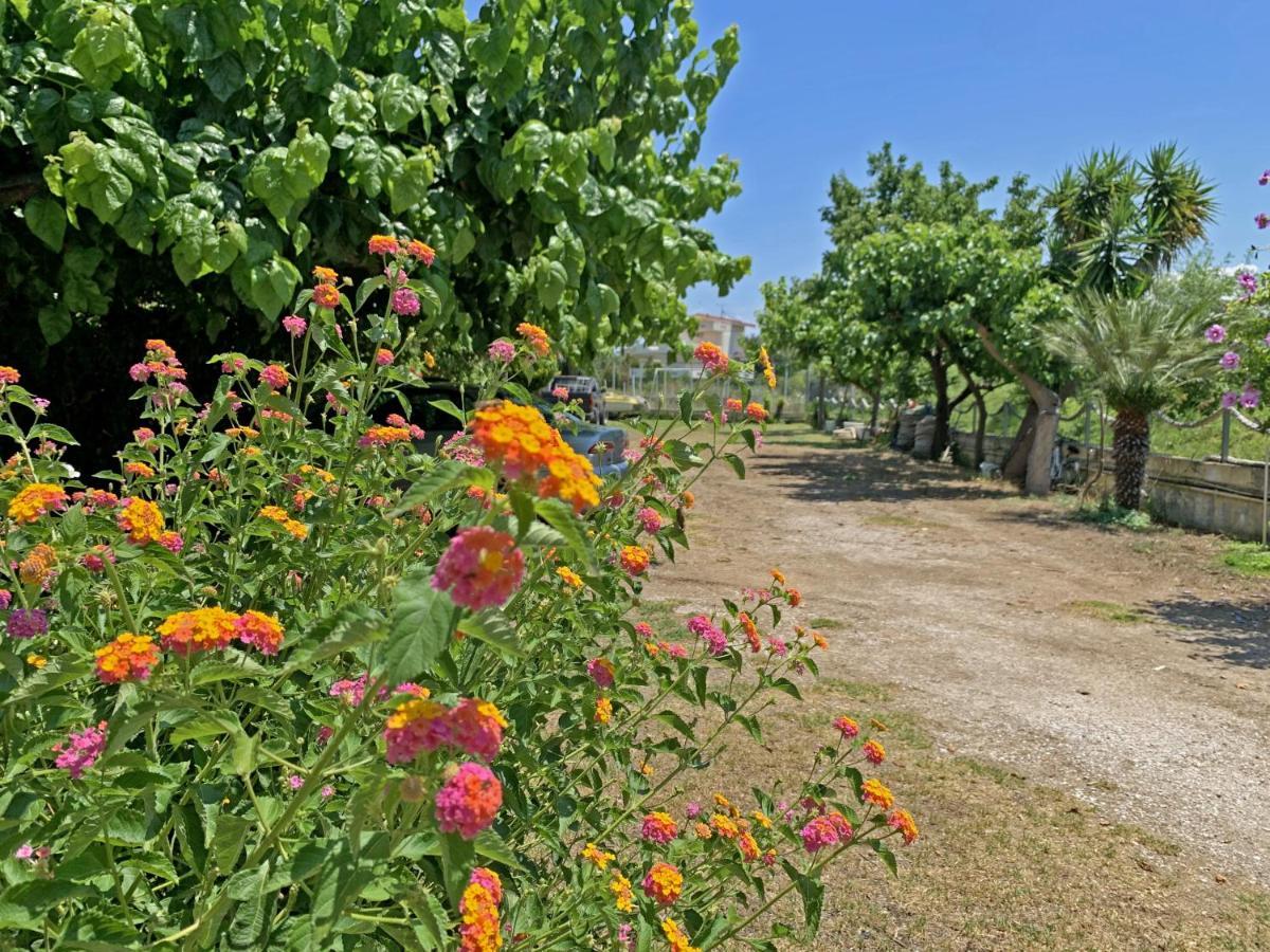 Akrotiri Rooms Агиокампос Екстериор снимка