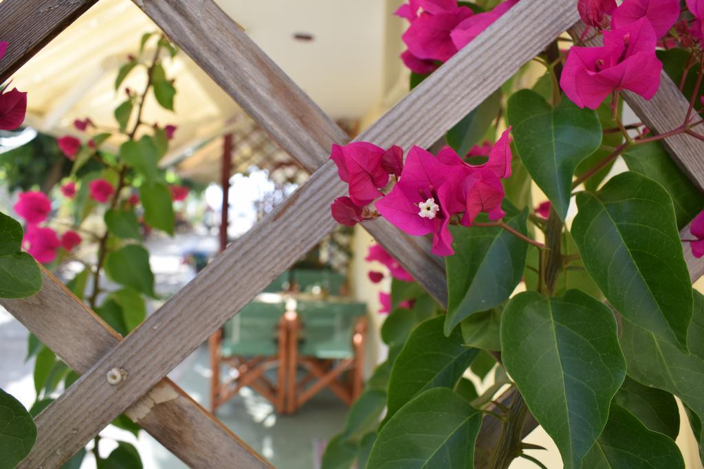 Akrotiri Rooms Агиокампос Екстериор снимка