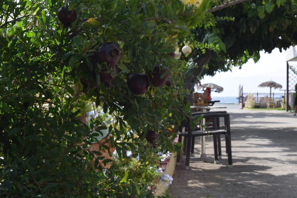 Akrotiri Rooms Агиокампос Екстериор снимка